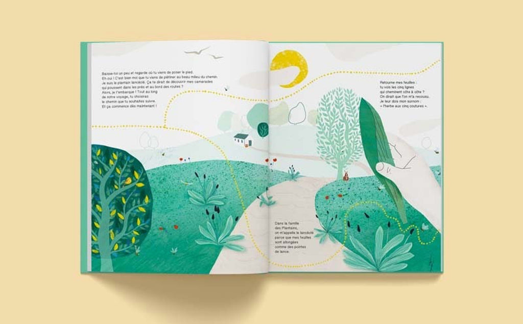 livre enfant les plantes