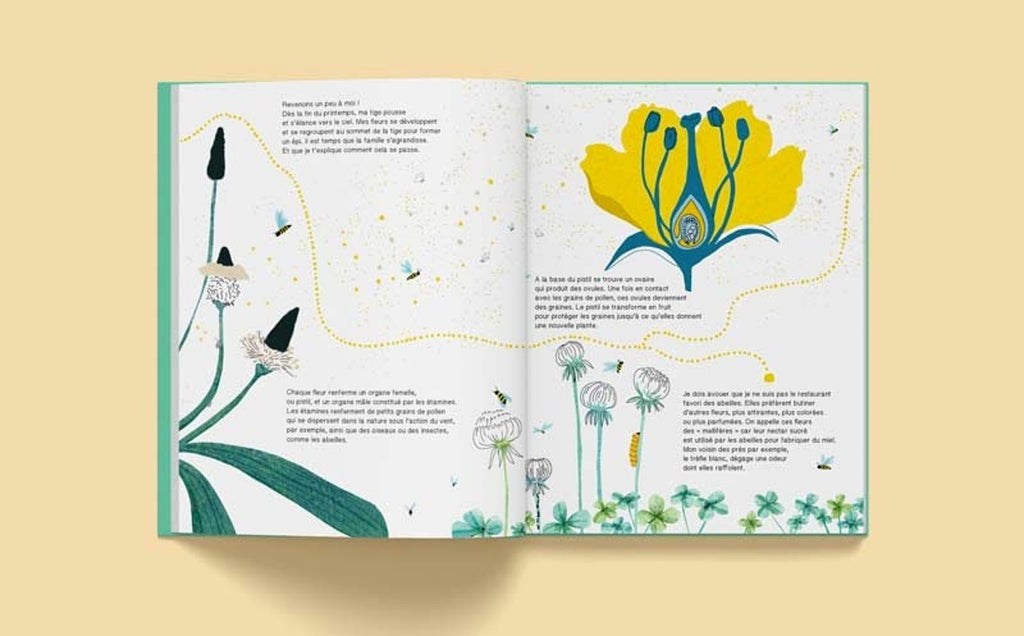 livre enfant les plantes